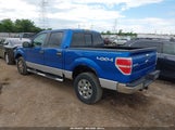 Ford F-150 Fx4/Harley-Davidson/King Ranch/Lariat/Platinum/Xl/Xlt 1FTFW1EVXAFA49336 снимка