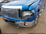 Ford F-150 Fx4/Harley-Davidson/King Ranch/Lariat/Platinum/Xl/Xlt 1FTFW1EVXAFA49336 снимка