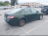Toyota Camry Le V6 4T1BK3EK8AU599430 снимка