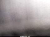 Dodge Grand Caravan Se 2C4RDGBG4HR724175 снимка