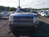 Ford F-150 Platinum 1FTFW1CF8BFA33424 photo