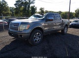 Ford F-150 Platinum 1FTFW1CF8BFA33424 photo