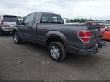 Ford F-150 Stx/Xl/Xlt 1FTRF12W69KA62081 fotografie