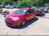 Toyota Corolla Le 2T1BURHE6GC571672 снимка