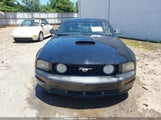 Ford Mustang Gt Deluxe/Gt Premium 1ZVHT82H385145265 fotografie