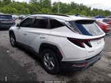 Hyundai Tucson Sel KM8JB3AEXNU041743 снимка