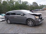 Honda Odyssey Ex-L 5FNRL5H60EB052371 fotografie