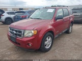 Ford Escape Xlt 1FMCU03Z18KC14051 fotografie