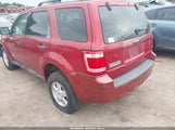 Ford Escape Xlt 1FMCU03Z18KC14051 fotografie