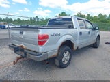 Ford F-150 Xlt 1FTFW1EF5BKD68256 снимка