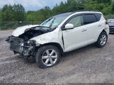 Nissan Murano Sl JN8AZ1MW9AW111762 fotografie