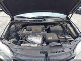 Toyota Camry Se 4T1BF1FK3FU096595 снимка