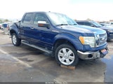 Ford F-150 Fx2 Sport/Harley-Davidson/King Ranch/Lariat/Platinum/Xl/Xlt 1FTFW1CV5AFB41960 fotografie