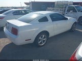 Ford Mustang V6 Deluxe/V6 Premium 1ZVFT80N275294555 fotografie