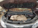 Kia Sorento Lx V6 5XYKTDA70EG459162 снимка