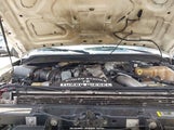 Ford F-250 Fx4/Harley-Davidson/King Ranch/Lariat/Xl/Xlt 1FTSW21R89EA85637 снимка