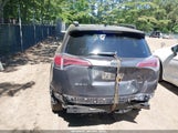 Toyota Rav4 Le JTMZFREV7JJ155073 photo