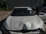 Honda Civic Si 2HGFC3A55JH751736 fotografie