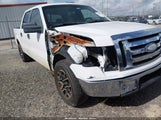Ford F-150 Xl/Xlt 1FTRW12899FA81704 снимка