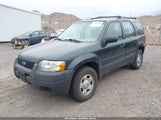 Ford Escape Xls 1FMYU02153KA40222 fotografie