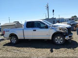 Ford F-150 Xlt 1FTEX1EP5FFC30720 снимка