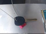 Miniaturka zdjęcia 11