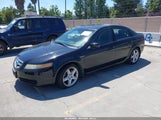 Acura Tl 19UUA66206A066479 снимка