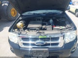Ford Escape Xlt 1FMCU93GX9KC05191 снимка