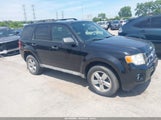 Ford Escape Xlt 1FMCU93GX9KC05191 снимка