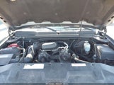 Chevrolet Silverado  Work Truck 1GCSCPEX9AZ147364 снимка