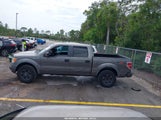 Ford F-150 1FTFW1EV6AFB10259 снимка