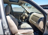 Ford Escape Xlt 1FMCU03178KC66553 fotografie
