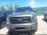 Ford F-150 Fx4 1FTFW1ET0EFA55327 снимка