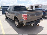 Ford F-150 Fx2 Sport/Xl/Xlt 1FTEW1C81AKE31321 photo