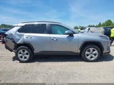 Toyota Rav4 Xle 2T3P1RFV2KW053817 photo