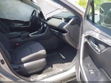 Toyota Rav4 Xle 2T3P1RFV2KW053817 photo