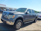 Ford F-150 Fx4/Harley-Davidson/King Ranch/Lariat/Platinum/Xl/Xlt 1FTFW1EV6AFB34223 fotografie