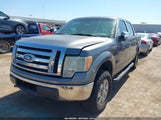 Ford F-150 Fx4/Harley-Davidson/King Ranch/Lariat/Platinum/Xl/Xlt 1FTFW1EV6AFB34223 fotografie