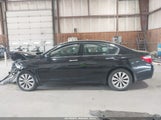 Honda Accord Ex-L V-6 1HGCR3F85EA025299 fotografie