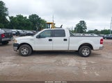 Ford F-150 60Th Anniversary/Fx2/Xl/Xlt 1FTRW12W98KB23292 photo