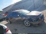 Nissan Maxima 3.5 Sv 1N4AA5AP1CC832434 fotografie
