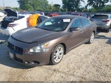 Nissan Maxima 3.5 Sv 1N4AA5AP1CC832434 fotografie