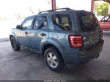 Ford Escape Xlt 1FMCU0DG8BKB98371 снимка