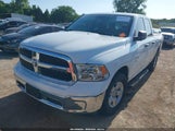 Ram  Classic Tradesman 4X2 6'4 Box 1C6RR6FG4MS524953 снимка