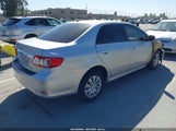 Toyota Corolla Le JTDBU4EEXB9158241 fotografie