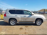 Lexus Gx 460 Premium JTJJM7FX0A5002404 снимка
