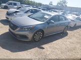 Hyundai Sonata Sport 5NPE34AF7GH423131 photo