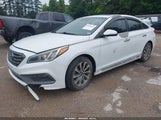 Hyundai Sonata Sport 5NPE34AF1HH483066 снимка