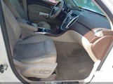 Cadillac Srx Premium Collection 3GYFNFEY3AS528665 снимка