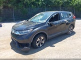 Honda Cr-V Lx 2HKRW6H33HH205981 снимка